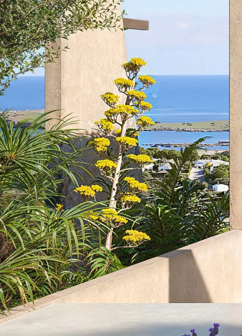 Celosía de hormigón y muro de piedra con vegetación mediterránea